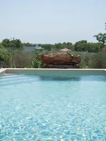 Barbara * אומאג